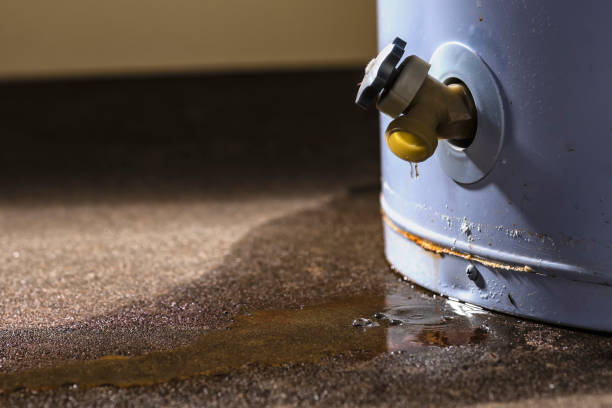Lawtey, FL Water damage restoration Company