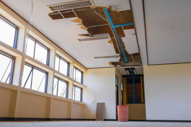 Best Sewage cleanup and water damage restoration  in Lawtey, FL