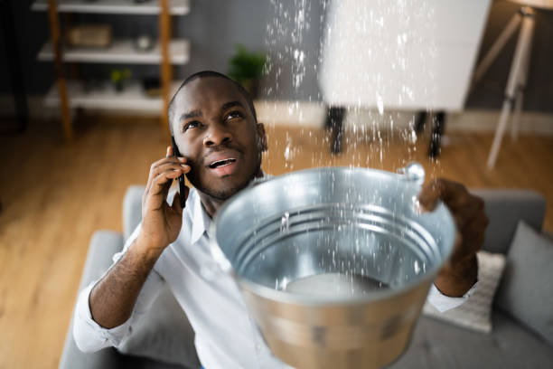 Best Emergency water damage restoration  in Lawtey, FL