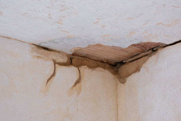 Best Professional water damage repair  in Lawtey, FL
