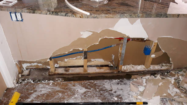 Best Residential water damage restoration  in Lawtey, FL