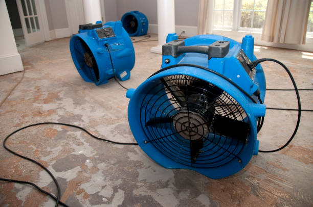 Best Flood damage cleanup  in Lawtey, FL