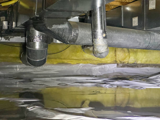 Best Local water damage restoration  in Lawtey, FL