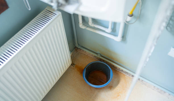 Best Water damage repair service  in Lawtey, FL
