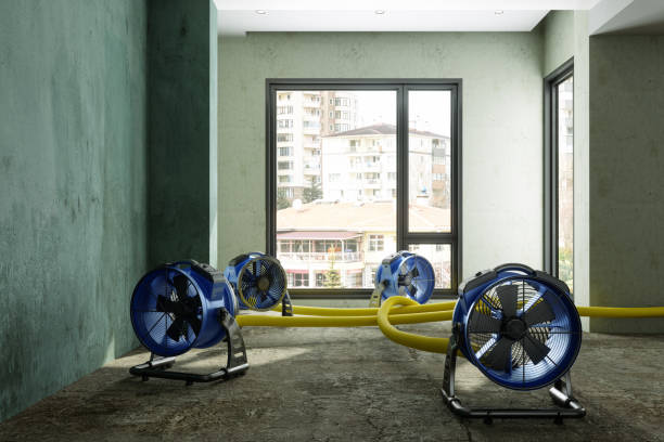 Best Ceiling water damage repair  in Lawtey, FL
