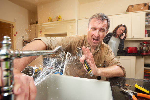 Best Water damage contractors near me  in Lawtey, FL